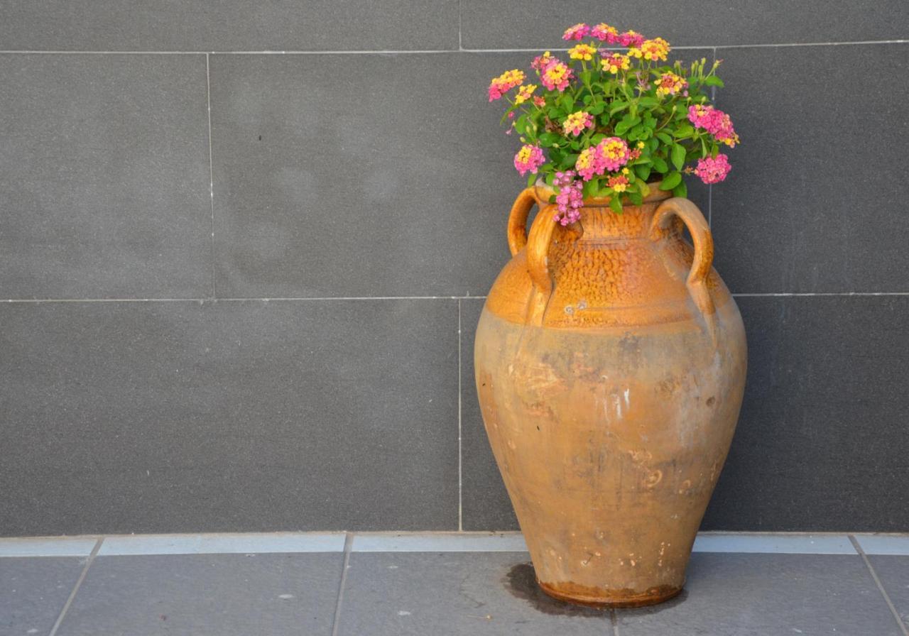 Rosa Vesuviana Acomodação com café da manhã Boscoreale Exterior foto
